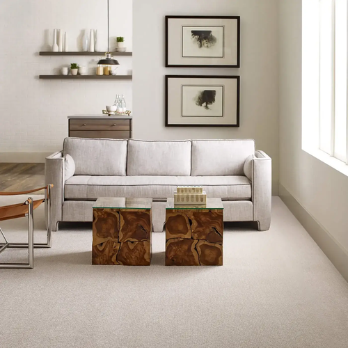 Carpet Inspiration by Floors By Roberts in Appleton, WI