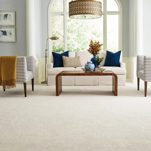 Carpet Inspiration by Floors By Roberts in Appleton, WI