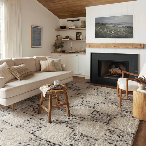 Area Rug Inspiration by Floors By Roberts in Appleton, WI