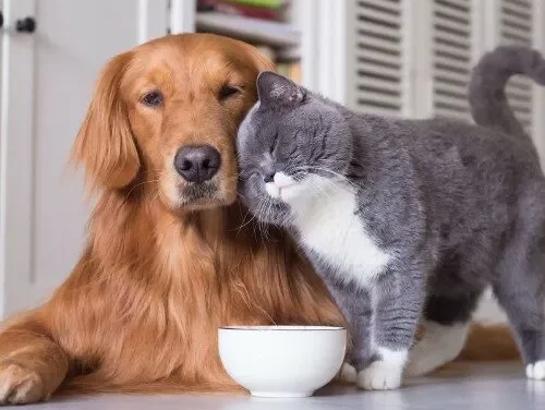 preventative care and maintenance floors By Roberts - Appleton, wi