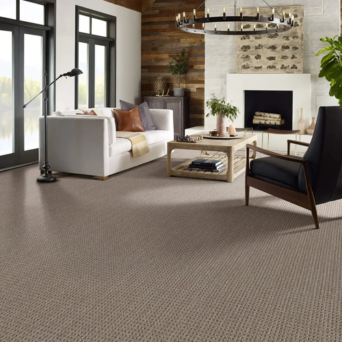 Carpet Inspiration by Floors By Roberts in Appleton, WI
