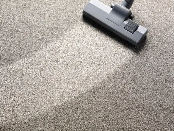 imgi_31_carpet-cleaning