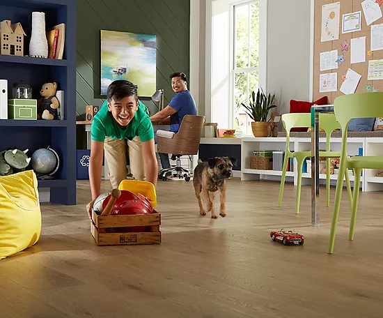 Safeguarding Floors from Pets | Floors by Roberts