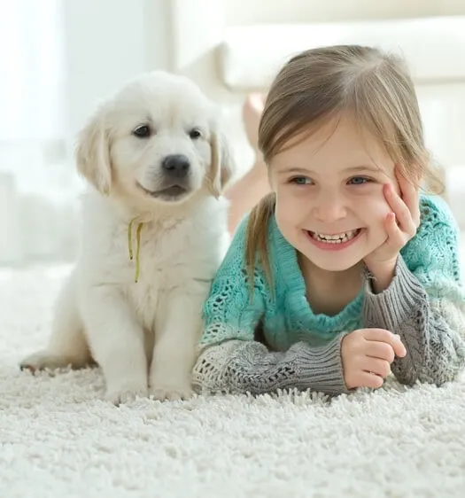 imgi_29_carpet-pet- imgi_29_carpet-pet-