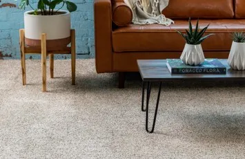 imgi_4_Carpet